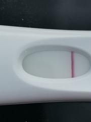 Wtf is going on with this test?