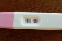 TTC after pregnancy loss thread 31 - baby penguins are coming!