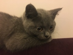 Wankerbastards and summer sunshine will make us want the bloody wine. But tryers to be dryers won't give up, and ice cold becks blue we will sup.