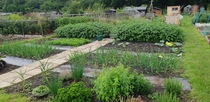 Allotments