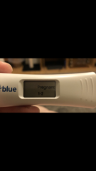 14dpo!