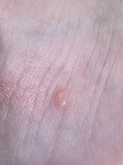 Anyone know what this is?