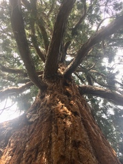 Any Witches Here? Part 9.