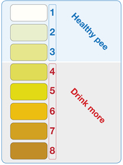 A question about dehydrated skin, water intake and make up that disappears