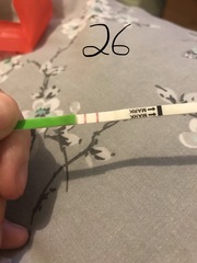 OPK