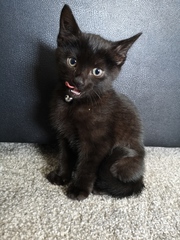 Look at my new baby