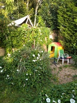 To wish I didn't have a garden