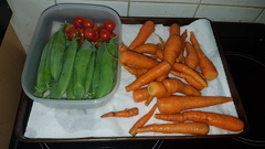 Allotment/Veg Patch Thread 14 ! growing into summer