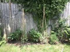How can I make this flowerbed look better?