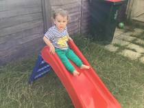 Fledglings Fly as we reach July