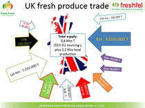 Germany's economy in freefall