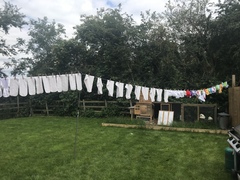 September 2019 #9 - for Twittlebee **title edited by MNHQ**