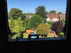 Home Extension Thread 2019 - The Extension