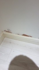 Damp in a supposedly renovated house