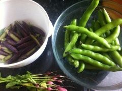 Allotment/Veg Patch Thread 14 ! growing into summer