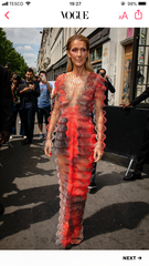 FFS Céline - seriously?!