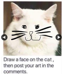 Draw a cat face challenge
