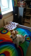 I'm cross that the clean bed luxury has been ruined