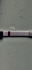 Bfp or bfn