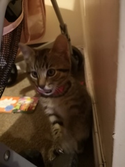 Look at my new baby