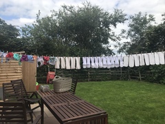 September 2019 #9 - for Twittlebee **title edited by MNHQ**