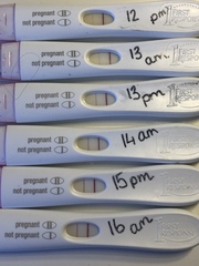 Line progression pics!