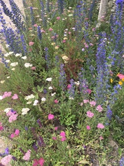 Any Witches Here? Part 8.