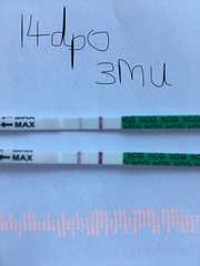 Is this positive?