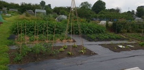 Allotments