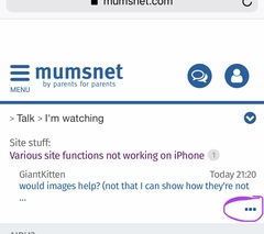 Various site functions not working on iPhone
