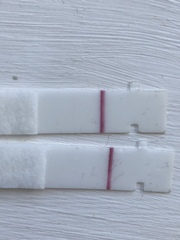 Positive FRER, negative CB digi, AF late, advise please?