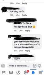 ‘Fucking Terfs’