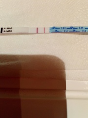 TTC after pregnancy loss thread 31 - baby penguins are coming!