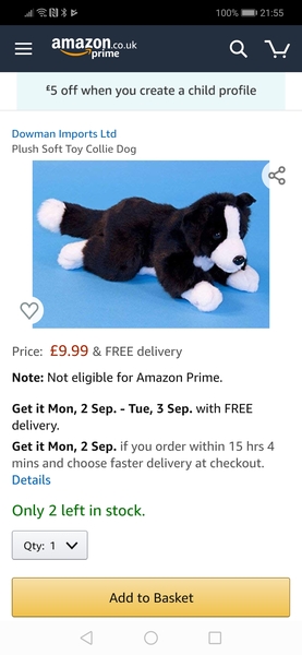 Lost toy cat, heartbroken DD can anyone help?