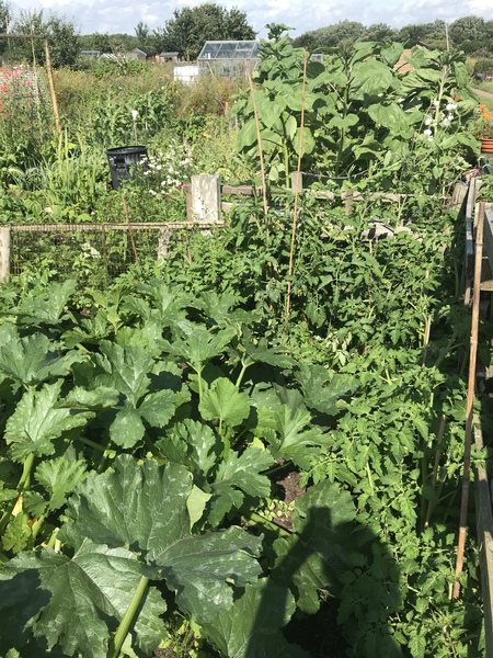 To be terrified of no deal Brexit