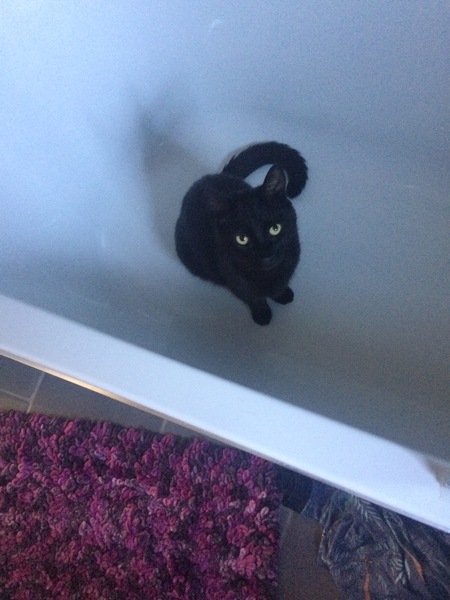 Horrified to learn my boy is a terror