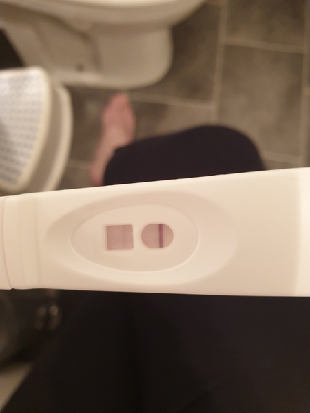 Does it look like I ovulated?