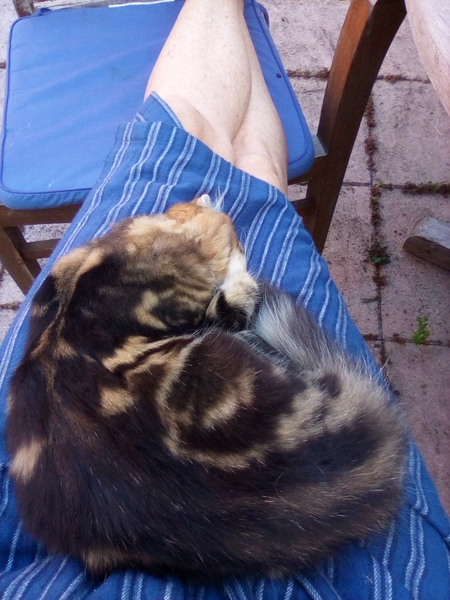 Such a lot to do today