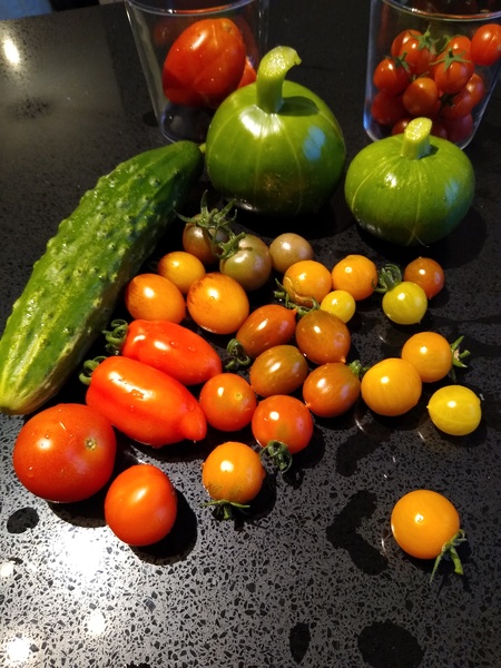 Allotment/Veg Patch Thread 14 ! growing into summer