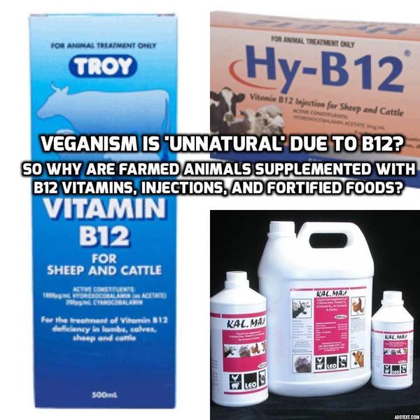 To find mumsnet so hostile to vegans?