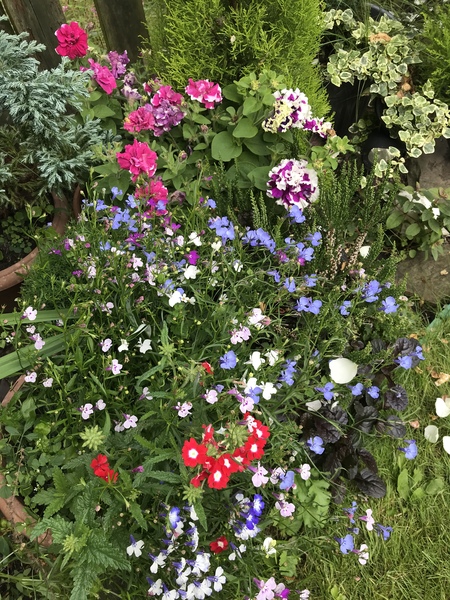 Frugal Friends, planning, saving and considerate spending through July and August