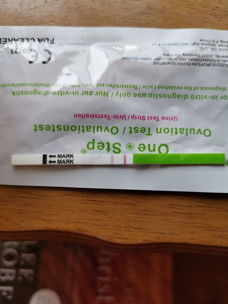 September bus