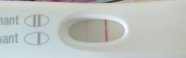 Sperm Meets Egg #2