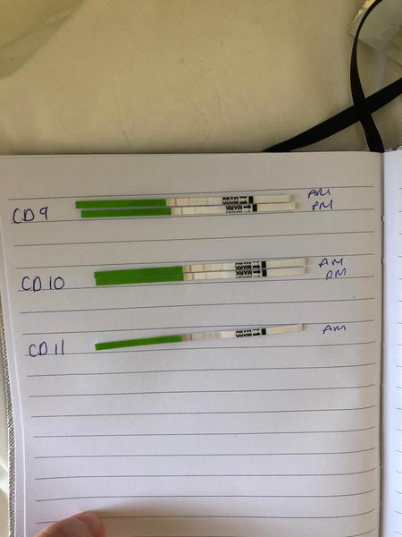 Clomid Thread 2019 V2