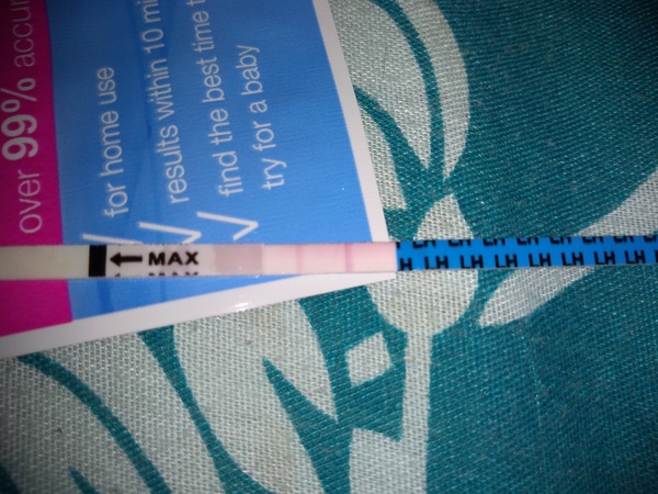 Am I due to ovulate? Help!