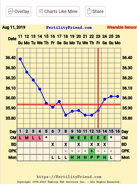 Sperm Meets Egg #2