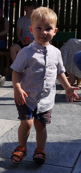 To clap my hands and skip about in a elephantine manner?