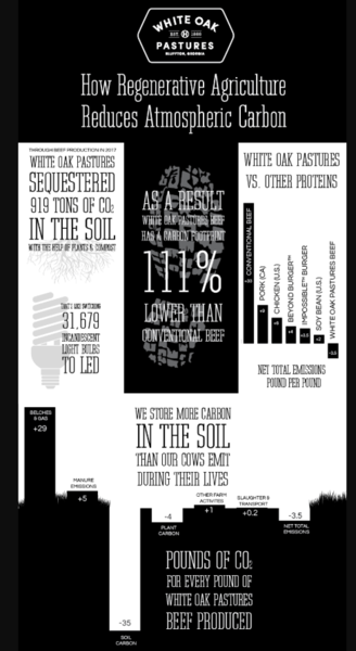 To think we should all eat less meat & dairy