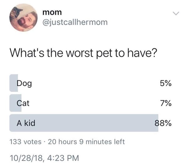 To ask what is the worst pet you have ever had?