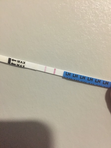 Help reading OPKs